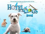 hotelfordogs.jpg